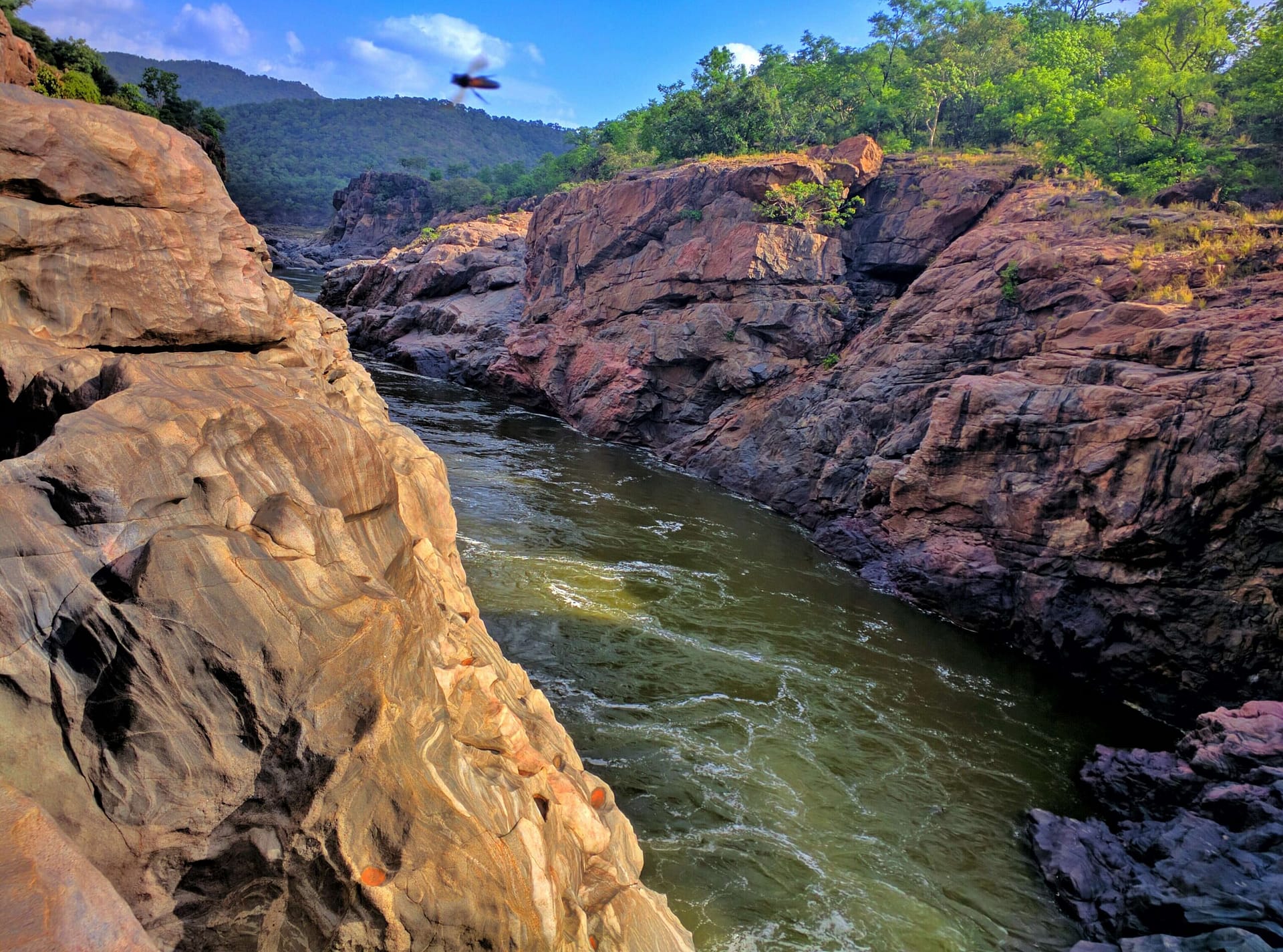 Mekedatu Project Row: Karnataka CM DK Shivakumar Reacts Cautiously as Tamil Nadu Passes Strong Resolution 1 DK Shivakumar responds cautiously to Tamil Nadu resolution opposing Mekedatu project on Cauvery river
